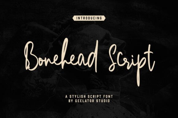 Bonehead Script: A Designer’s No-Nonsense Review for Real Projects