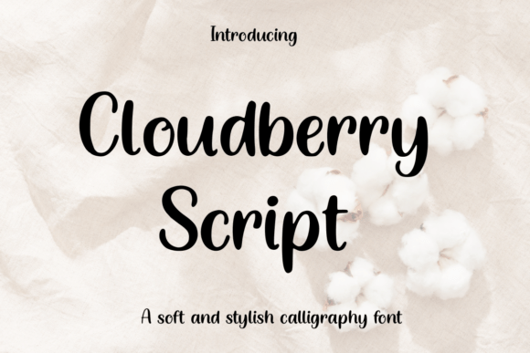 Cloudberry Script: A Soft Modern Calligraphy Font for Campaign Creatives